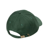 Signature Collegiate 6 Panel Cap